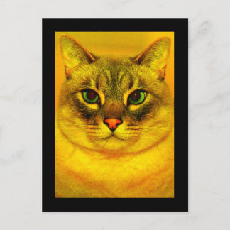 Postal Gato