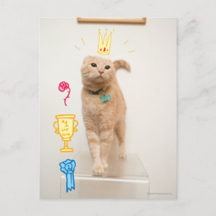 Postal Gato #1