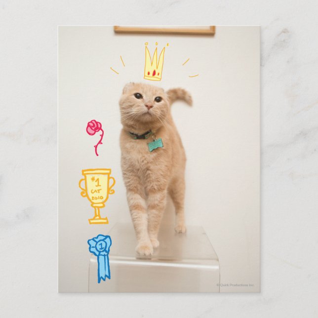 Postal Gato #1 (Anverso)