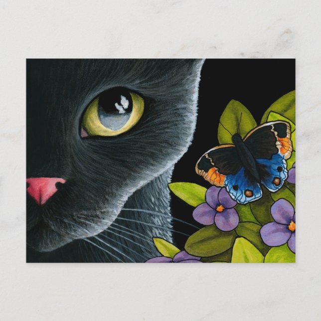 Postal Gato 557 (Anverso)