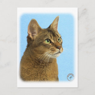 Postal Gato abisino 9Y009D-032