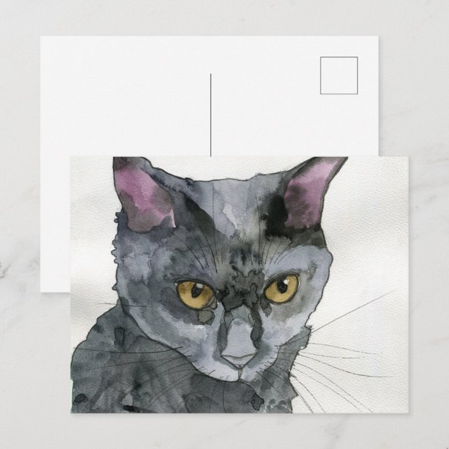 Postal Gato acuarela (Anverso / Reverso)