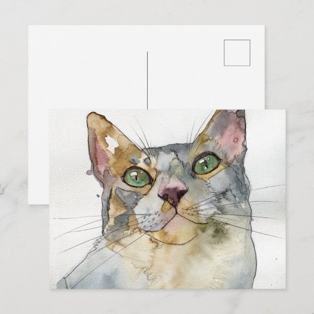 Postal Gato acuarela (Anverso / Reverso)