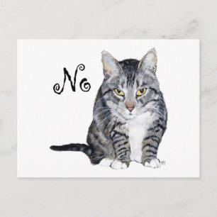 Postal Gato American Shorthair - No