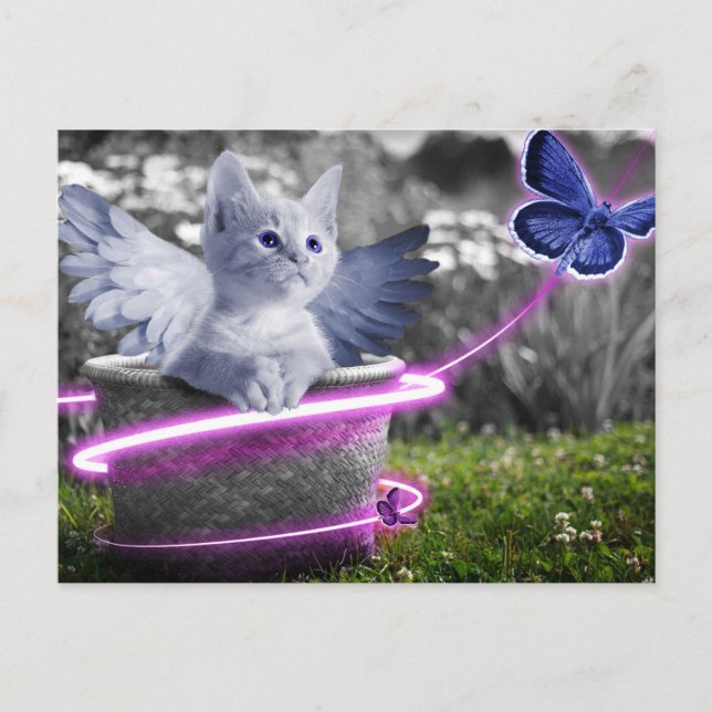 Postal gato ángel (Anverso)