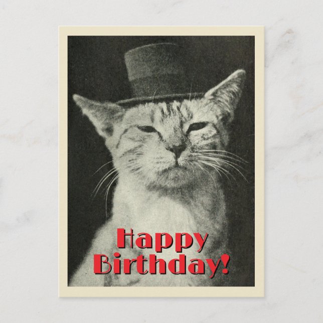 Postal Gato Antiguo con Sombrero de Copa Cumpleaños Feliz (Anverso)