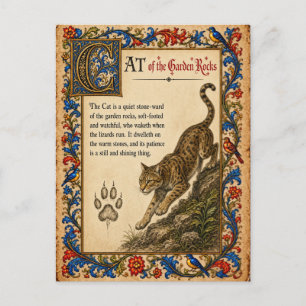 Postal Gato, Arte de Bestiario Medieval