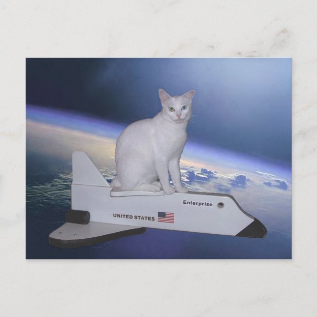 Postal Gato astronauta (espíritu) en lanzadera espacial (Anverso)