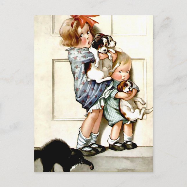 Postal Gato asustado (Anverso)