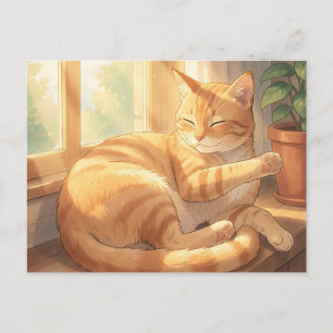 Postal Gato Atigrado Gengibre Acogedor Tomando el Sol