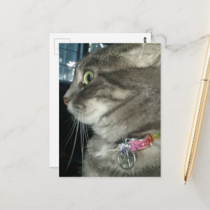 Postal gato atigrado gris adorable lleva un collar de pen