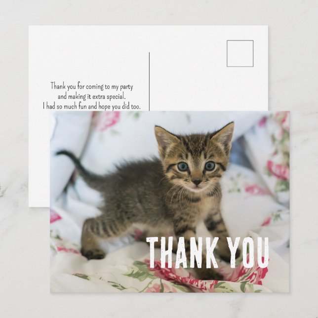 Postal Gato atigrado lindo que mira sorprendido Gracias (Anverso / Reverso)
