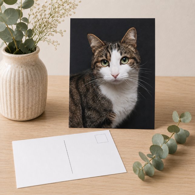 Postal Gato Atigrado Marrón Personalizado Foto de una Mas (Replace with your own pet photo,  add text using the design tool, if you wish)