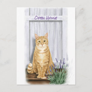 Postal Gato atigrado naranja en la puerta con flores de l
