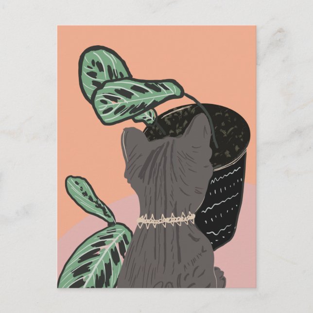 Postal Gato Atigrado Plantas Grises Gracias  (Anverso)
