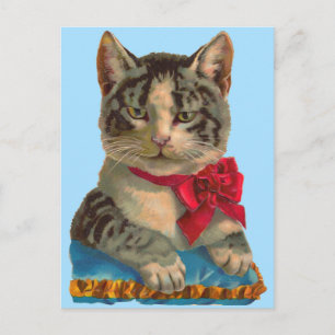 Postal gato atigrado victoriano