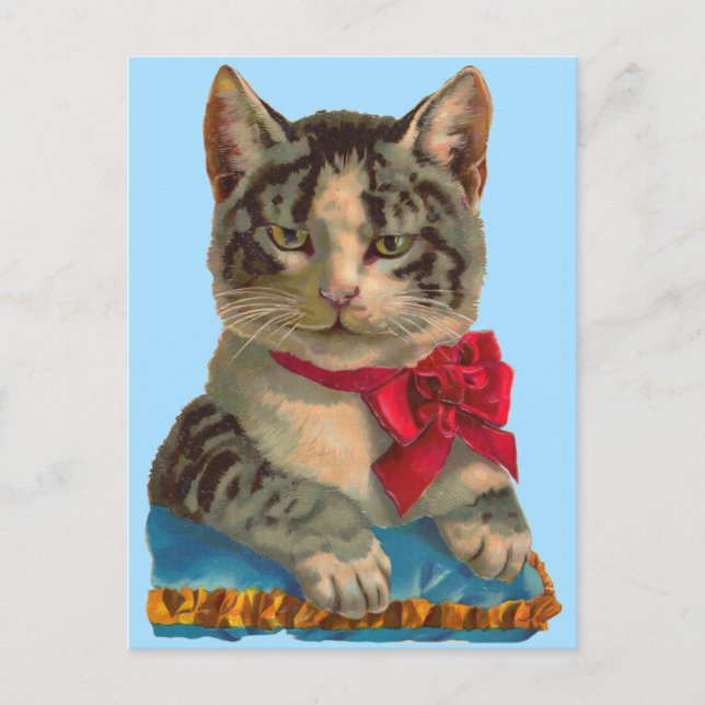 Postal gato atigrado victoriano (Anverso)