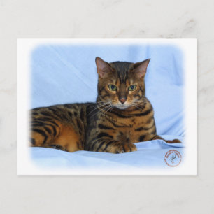 Postal Gato Bengal 9W052D-023