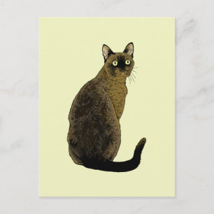 Postal Gato birmano