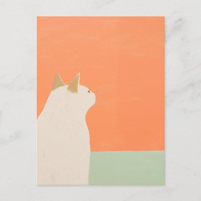 Postal Gato Blanco (Anverso)
