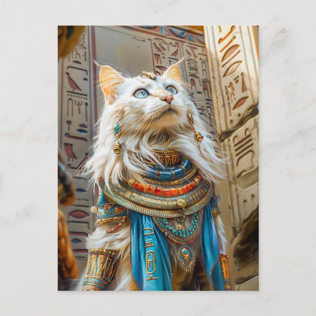 Postal Gato blanco como alto sacerdote en el trono (Anverso)