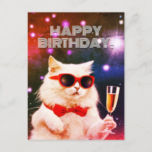 Postal Gato blanco con gafas de sol brindando por Cumplea