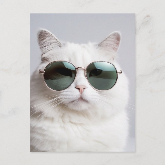 Postal Gato blanco con gafas de sol, felino fresco, masco (Anverso)