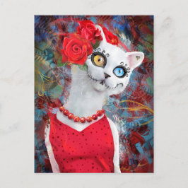 Postal Gato blanco con rosas