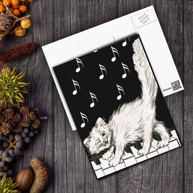 Postal Gato blanco en las llaves del piano (White winking cat walking on piano keys music notes on black and white post card.)