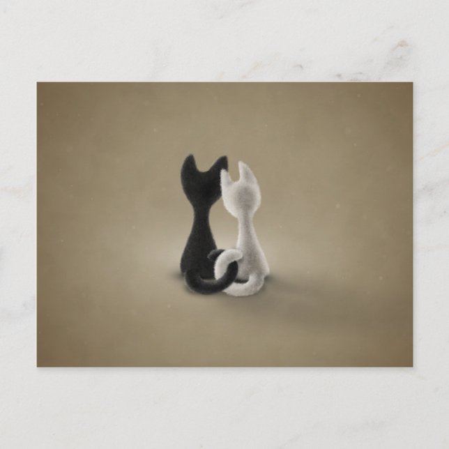 Postal Gato blanco gato negro (color 3) (Anverso)