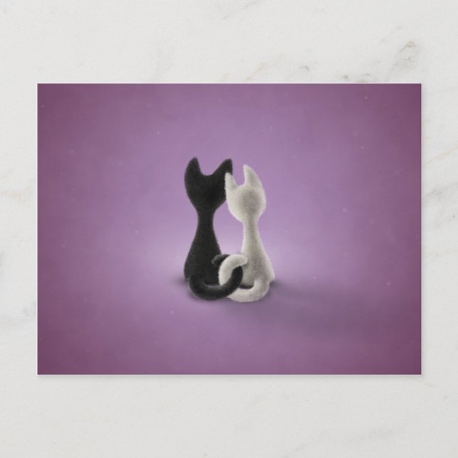 Postal Gato blanco gato negro (color 4) (Anverso)