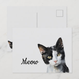 Postal Gato blanco negro de carne
