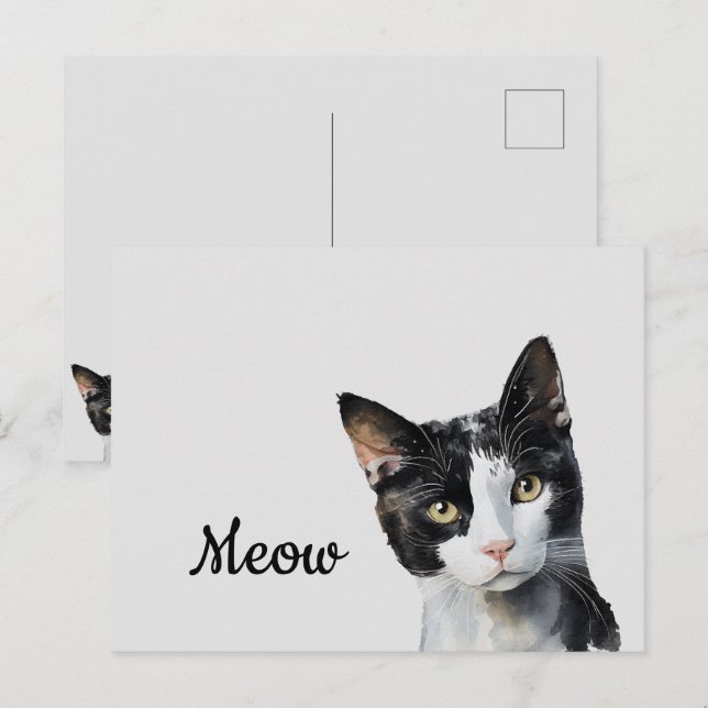 Postal Gato blanco negro de carne (Anverso / Reverso)