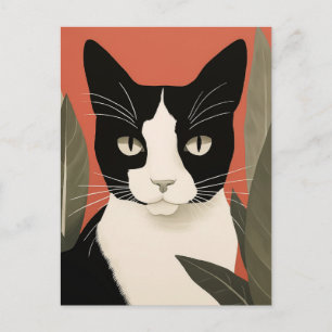 Postal Gato blanco y negro