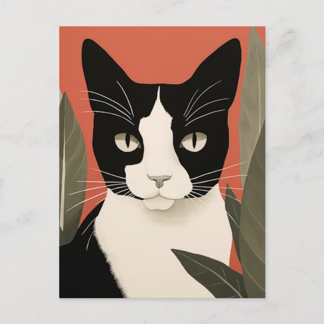 Postal Gato blanco y negro (Anverso)