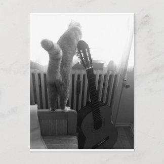 Postal Gato. Blanco y negro