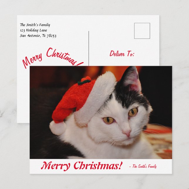 Postal Gato blanco y negro de Feliz Navidad personalizado (Anverso / Reverso)