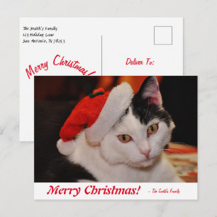 Postal Gato blanco y negro de Feliz Navidad personalizado