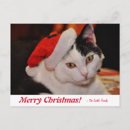Postal Gato blanco y negro de Feliz Navidad personalizado