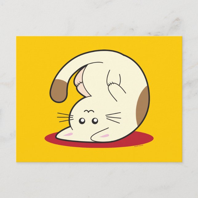 Postal Gato boca abajo (Anverso)