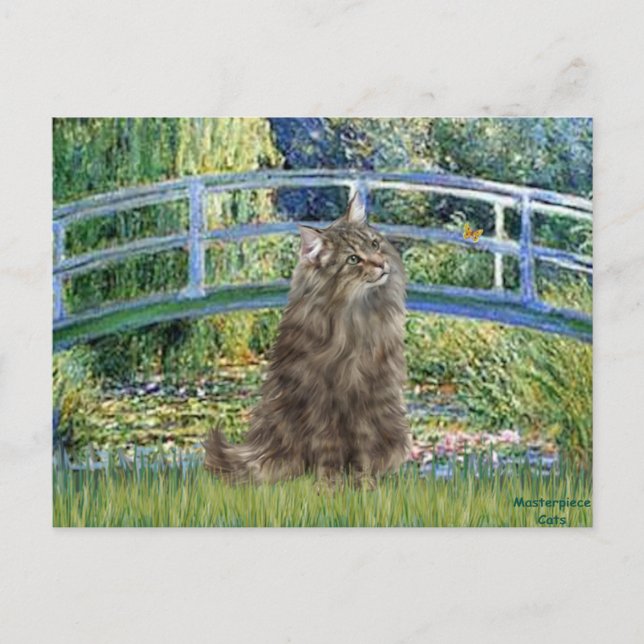 Postal Gato Bosque Noruego - Puente (Anverso)