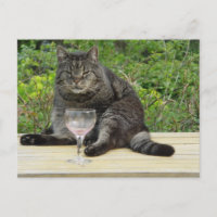 Gato "Bram" en la mesa con una copa de vino