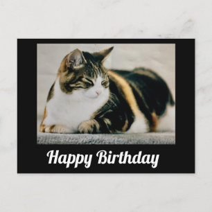Postal Gato Calico Dormilón Feliz Cumpleaños