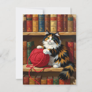 Postal Gato Calico Jugando Con Yarn En Una Librería
