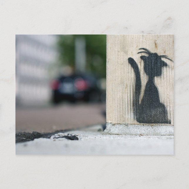 Postal gato callejero (Anverso)