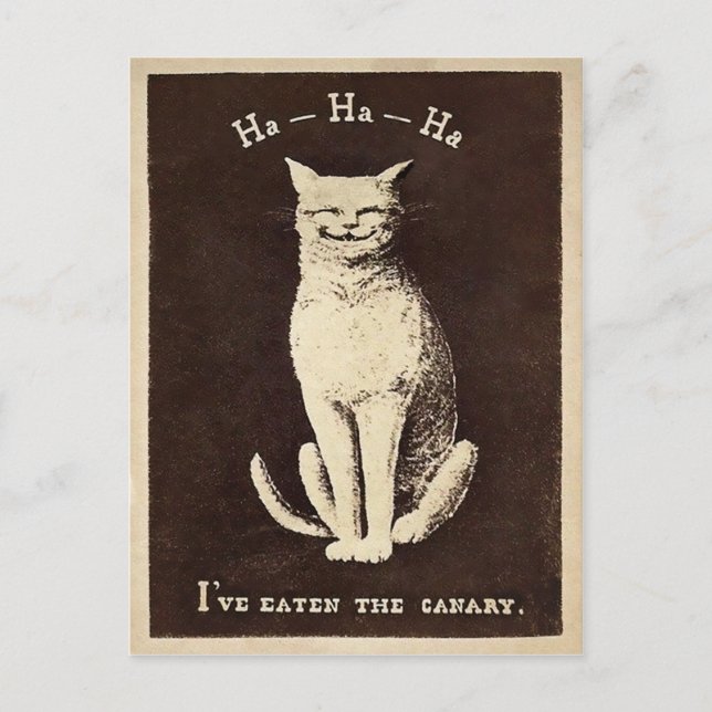 Postal Gato canario vintage (Anverso)