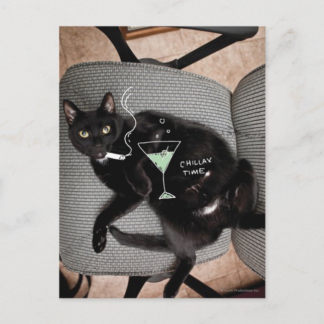 Postal Gato Chillax (Anverso)