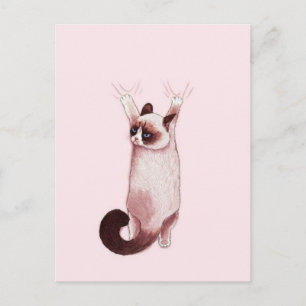 Postal Gato Colgando