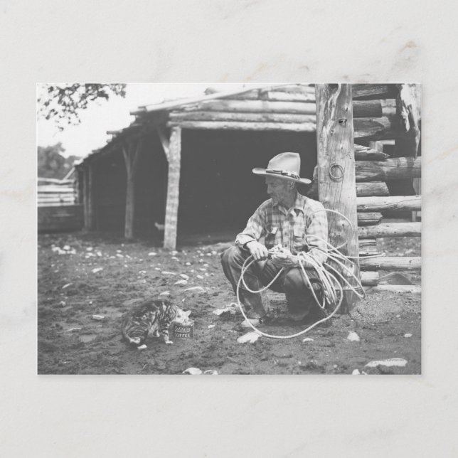 Postal Gato comiendo de un café. (Anverso)