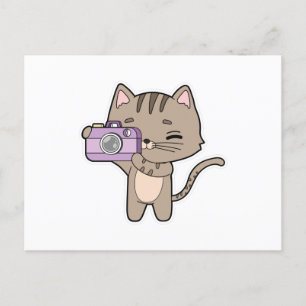 Postal Gato como fotógrafo con cámara